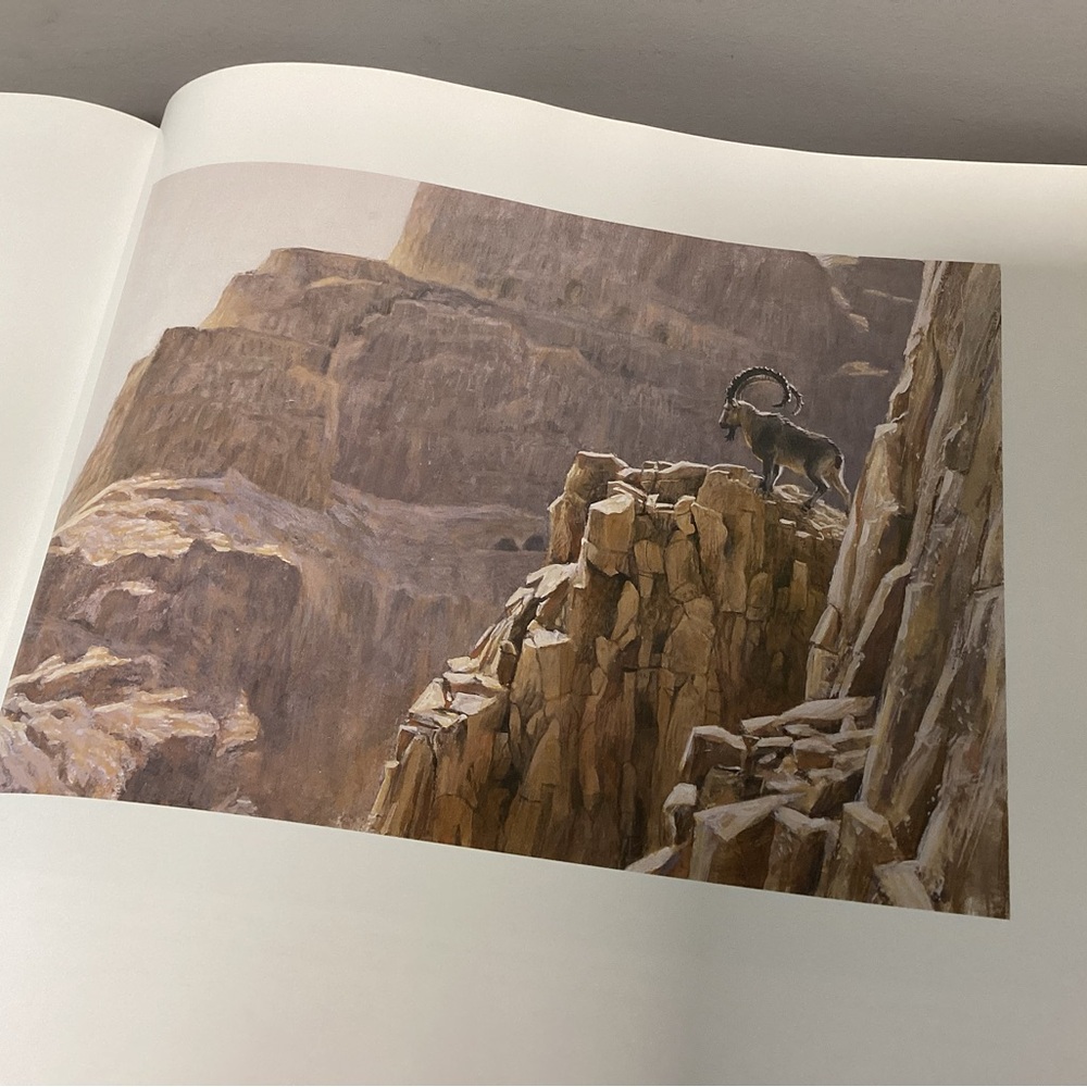 🟡 Vintage Robert Bateman - Natural World Large Coffee Table Book - Rick Archbold - Picture 12 of 16